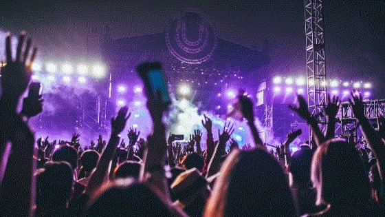 Which hearing protections are most effective on festivals?
